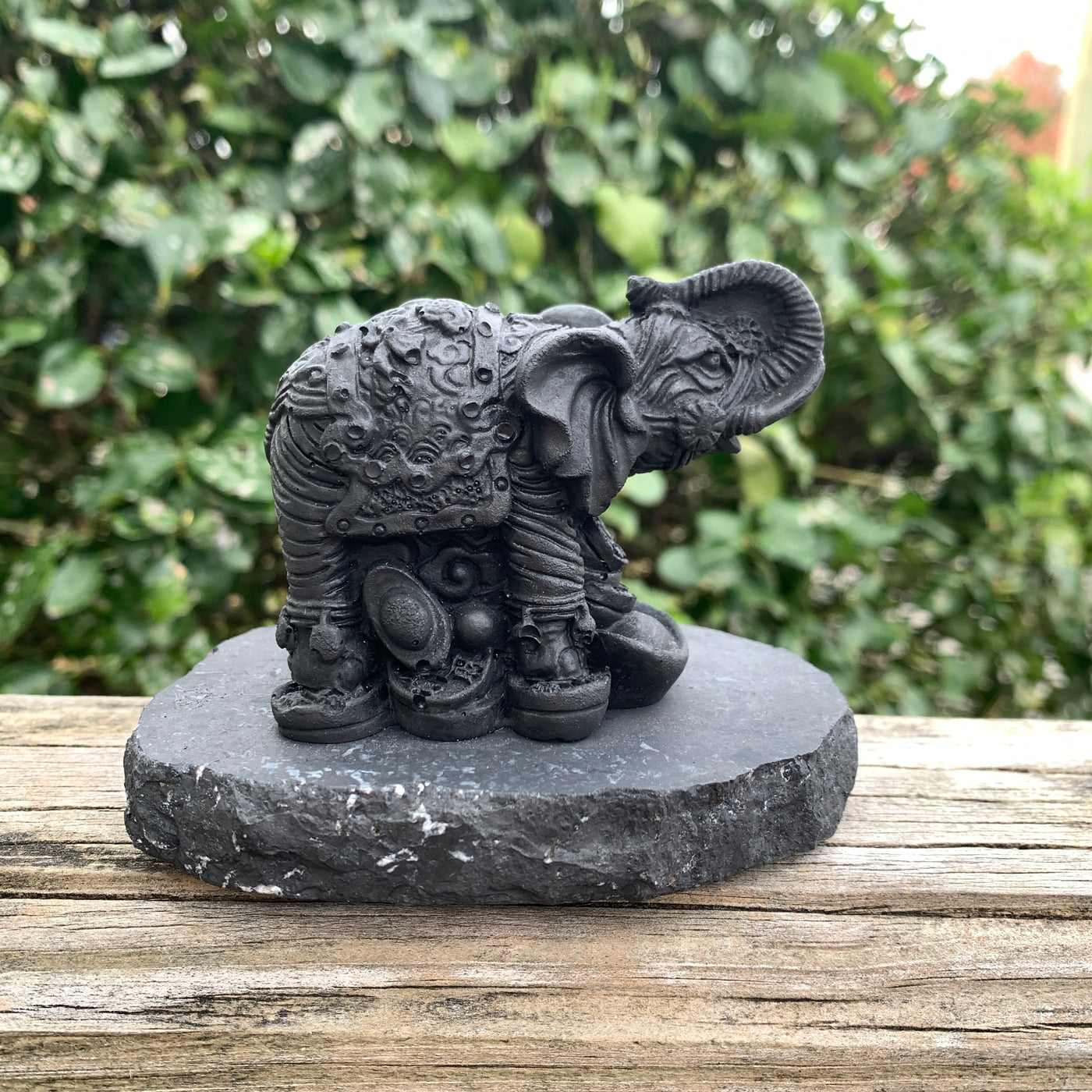 Shungite Carved Elephant-GWP2