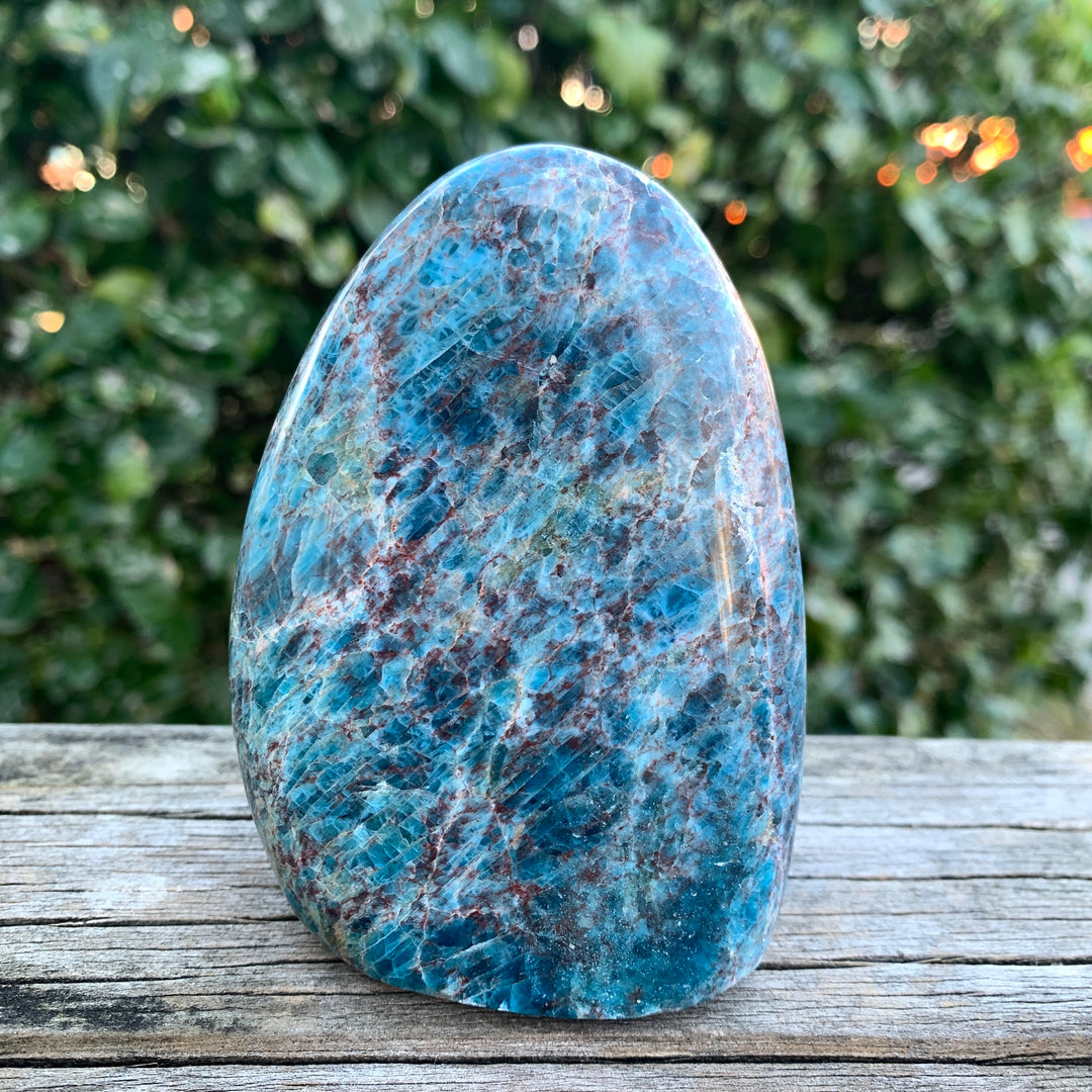 Blue Apatite Free Form-FF1-7x