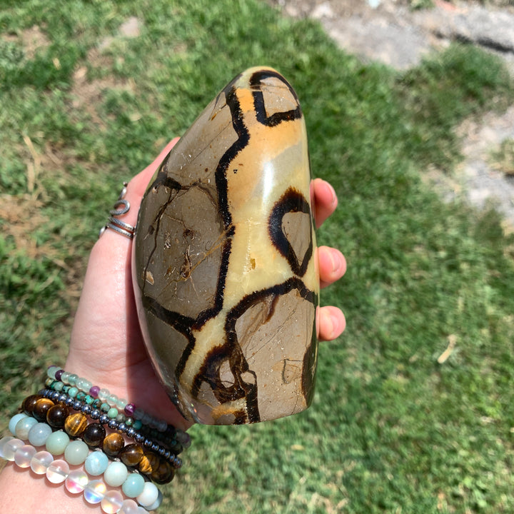 Septarian CCEC650