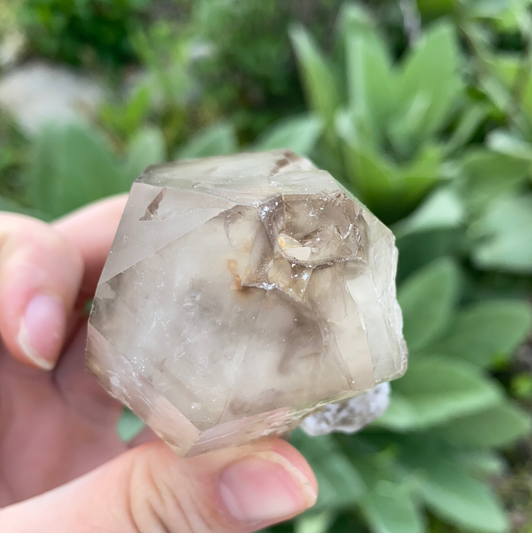 Smoky Elestial Quartz Cluster-ELE2-21