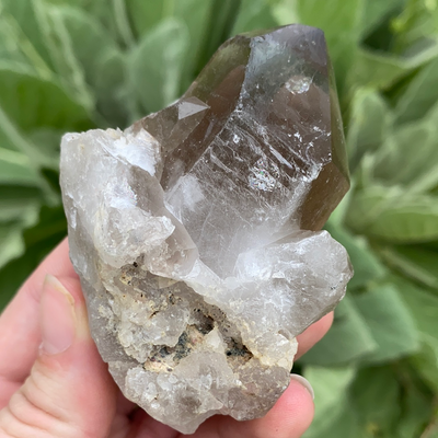 Smoky Quartz Point-PT3-10
