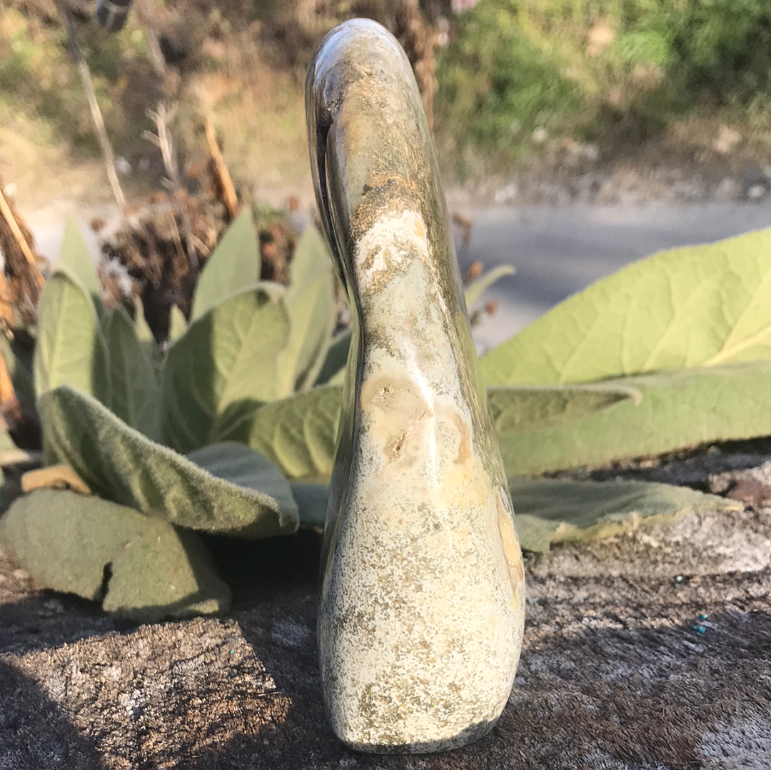 Ocean Jasper Free Form WZ13111
