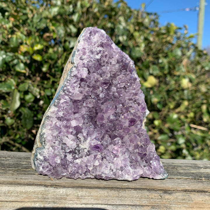 Amethyst Stand Up CCEC1174