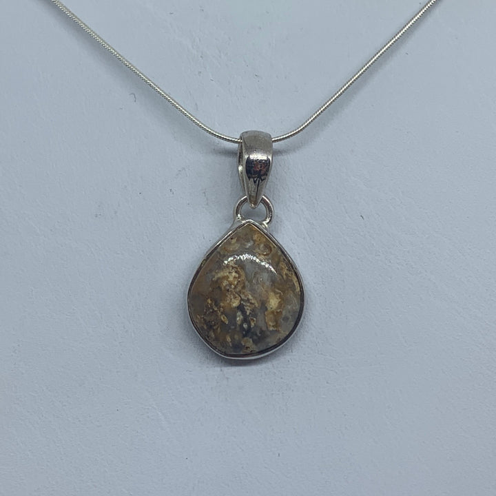 Petrified Wood Pendant SS P9