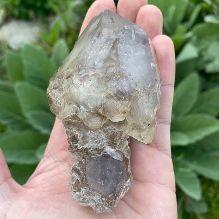 Smoky Elestial Quartz Cluster-ELE2-21