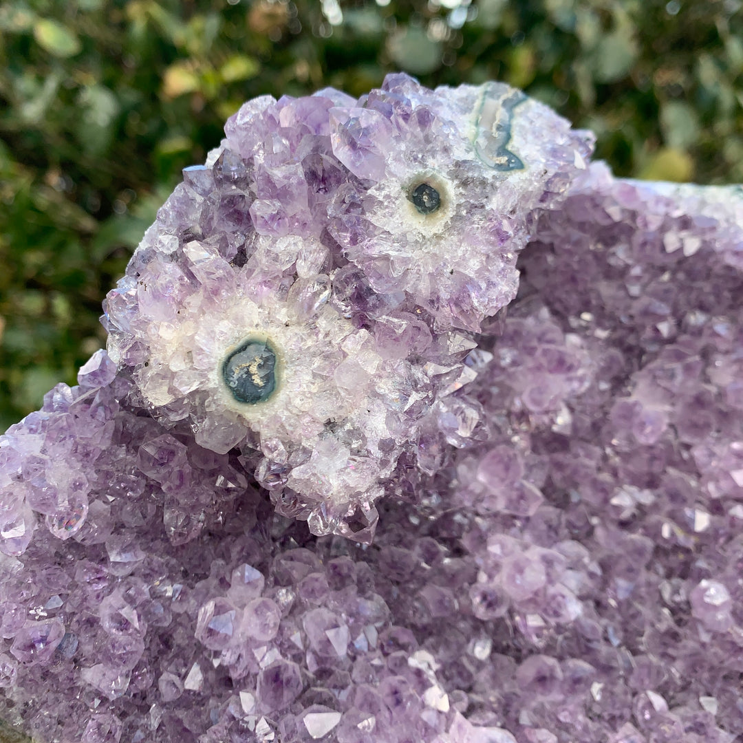 Amethyst Stand Up CCEC1182