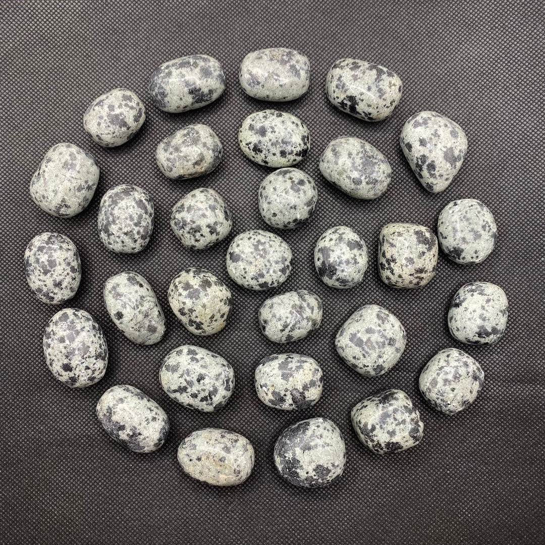 Jasper (Dalmatian) Polished J235