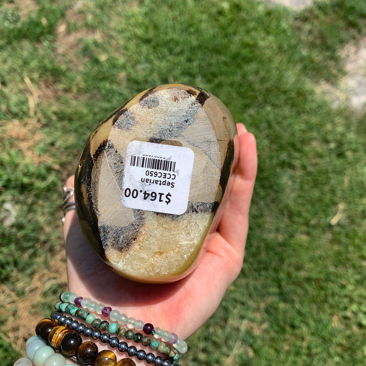 Septarian CCEC650