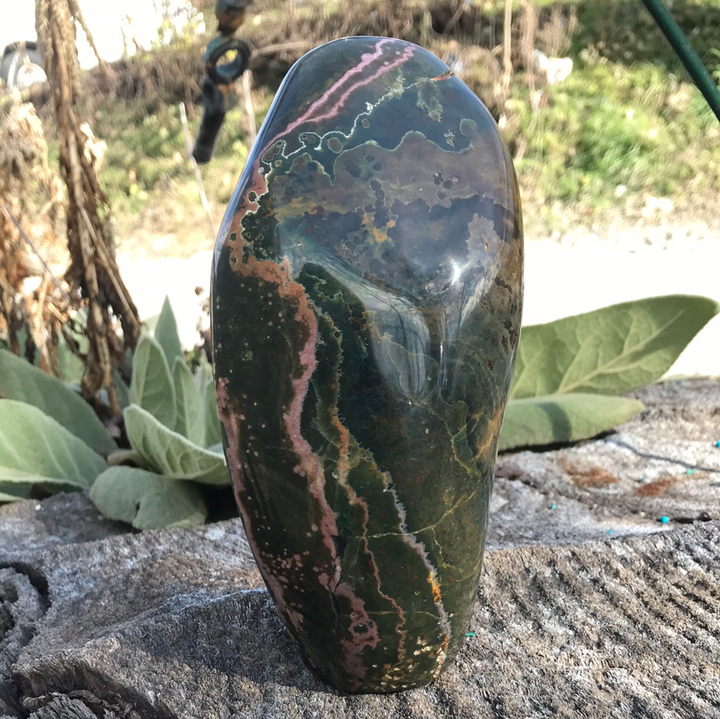 Ocean Jasper Free Form WZ654