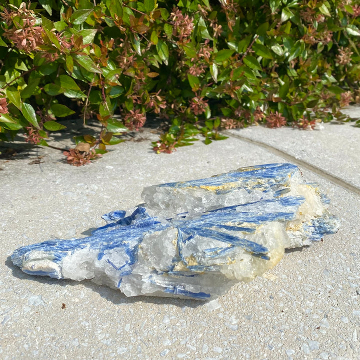 Blue Kyanite Specimen-BKY2-9