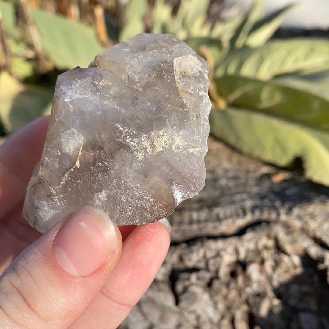 Smoky Elestial Quartz-ELE1-7