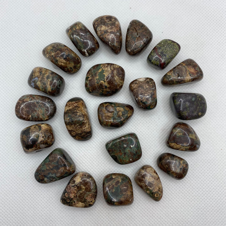 Jasper-Green Leopard  (Polished) J227