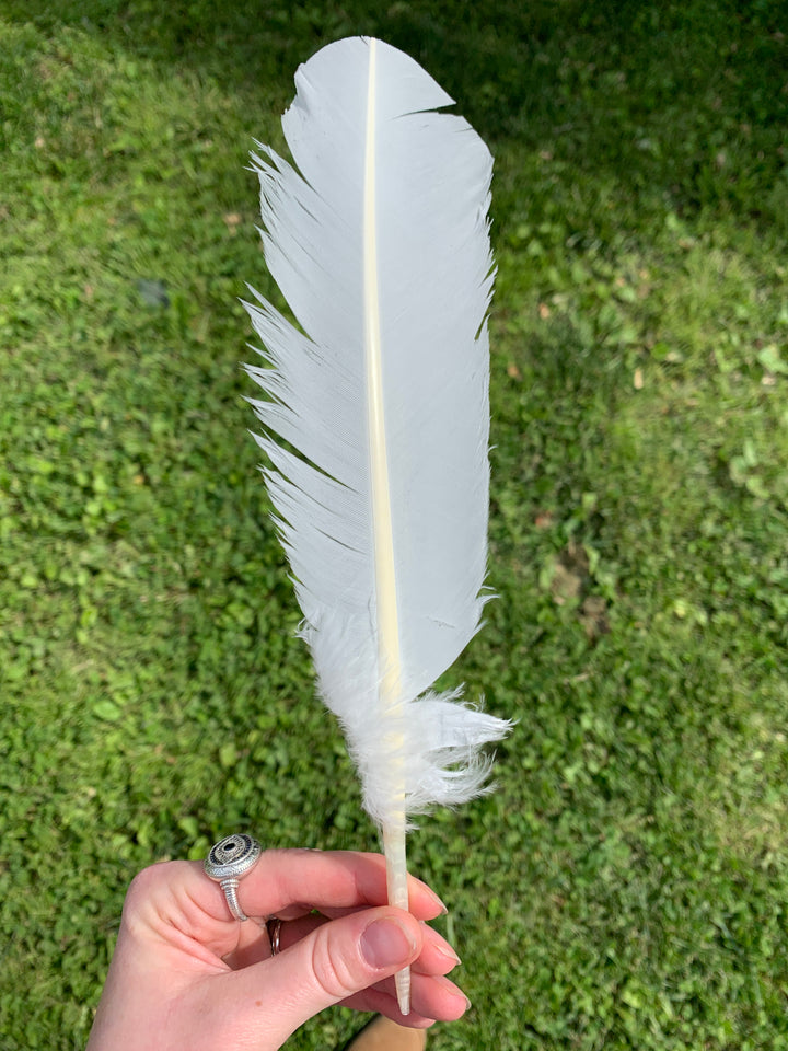 Smudge Feather Single KDSF