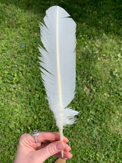 Smudge Feather Single KDSF