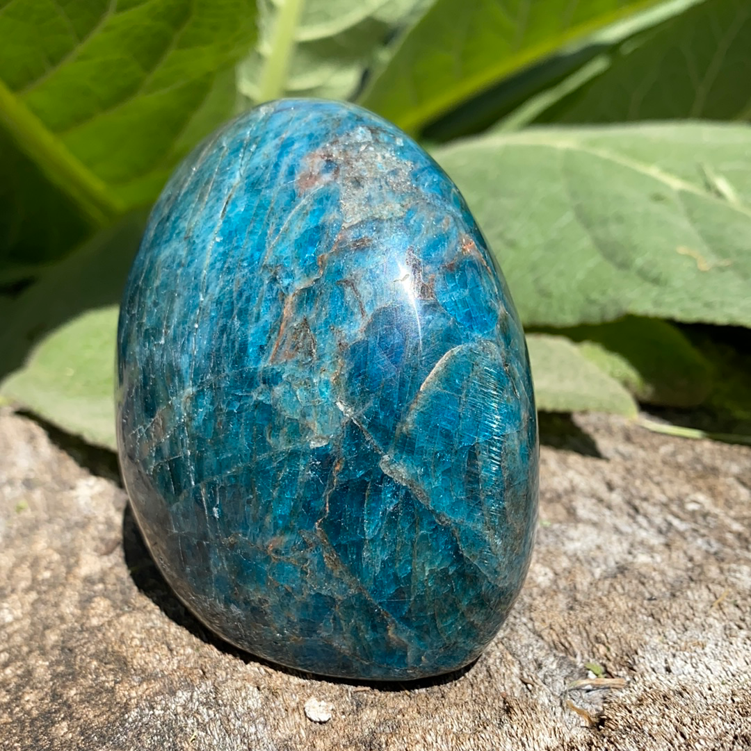 Blue Apatite Free Form-FF22-4