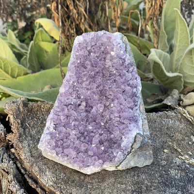 Amethyst Stand Up CR74e