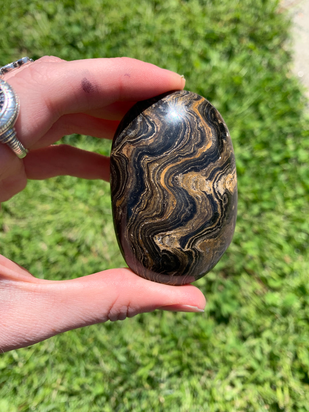 Stromatolite Palm Stone CCEC1287