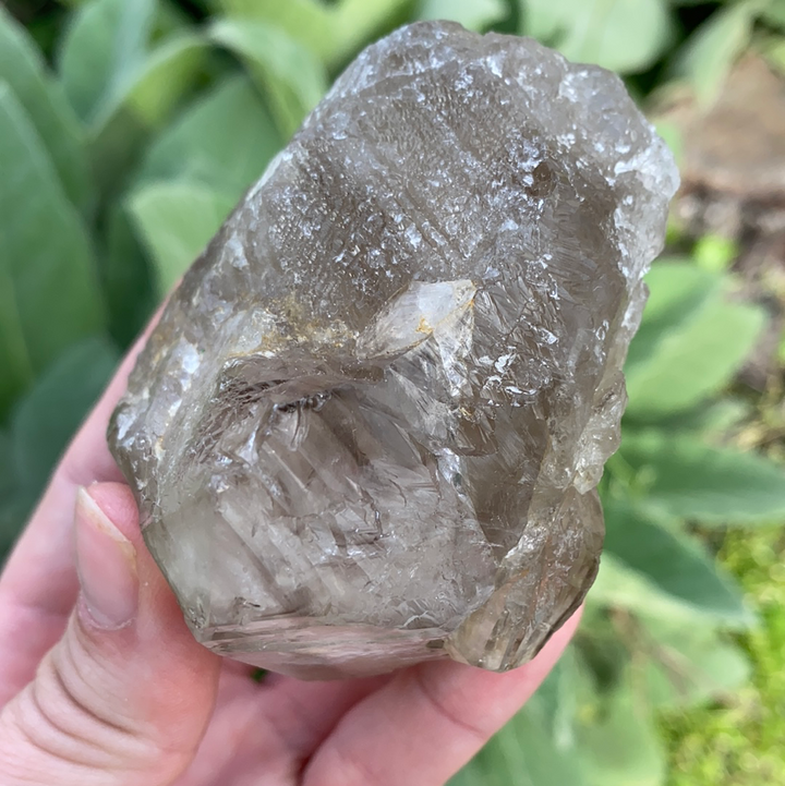 Smoky Elestial Quartz Cluster-ELE2-20