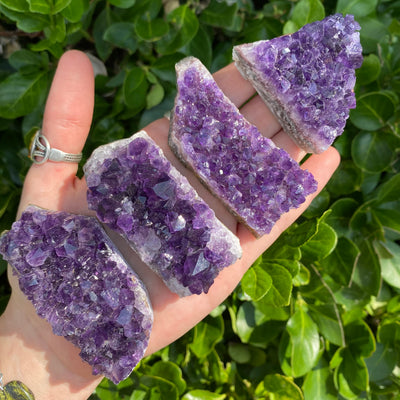 Amethyst Cluster AME11-3