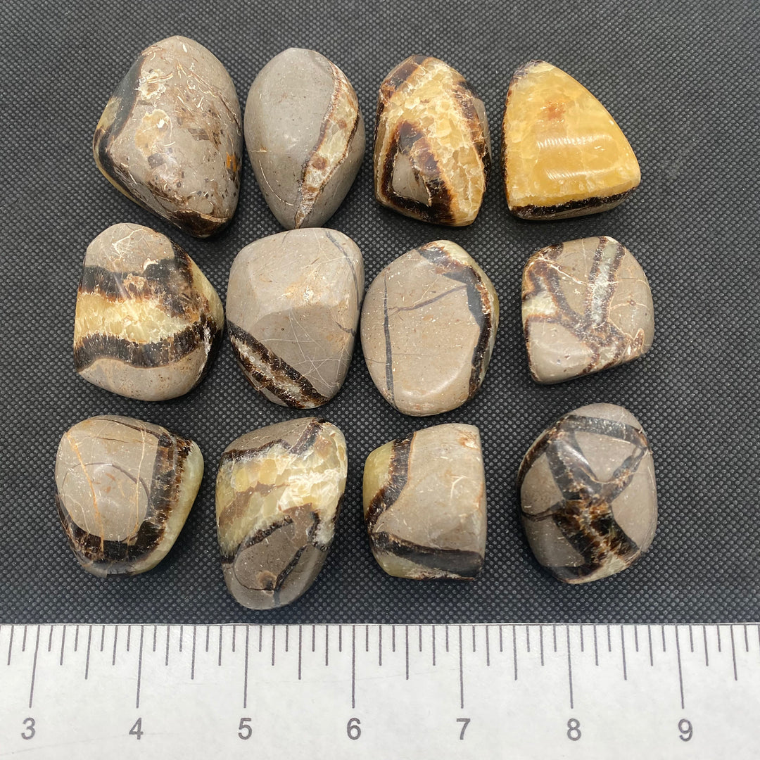 Septarian Polished S503