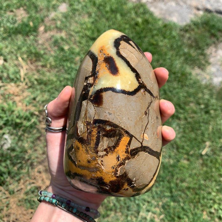 Septarian CCEC650