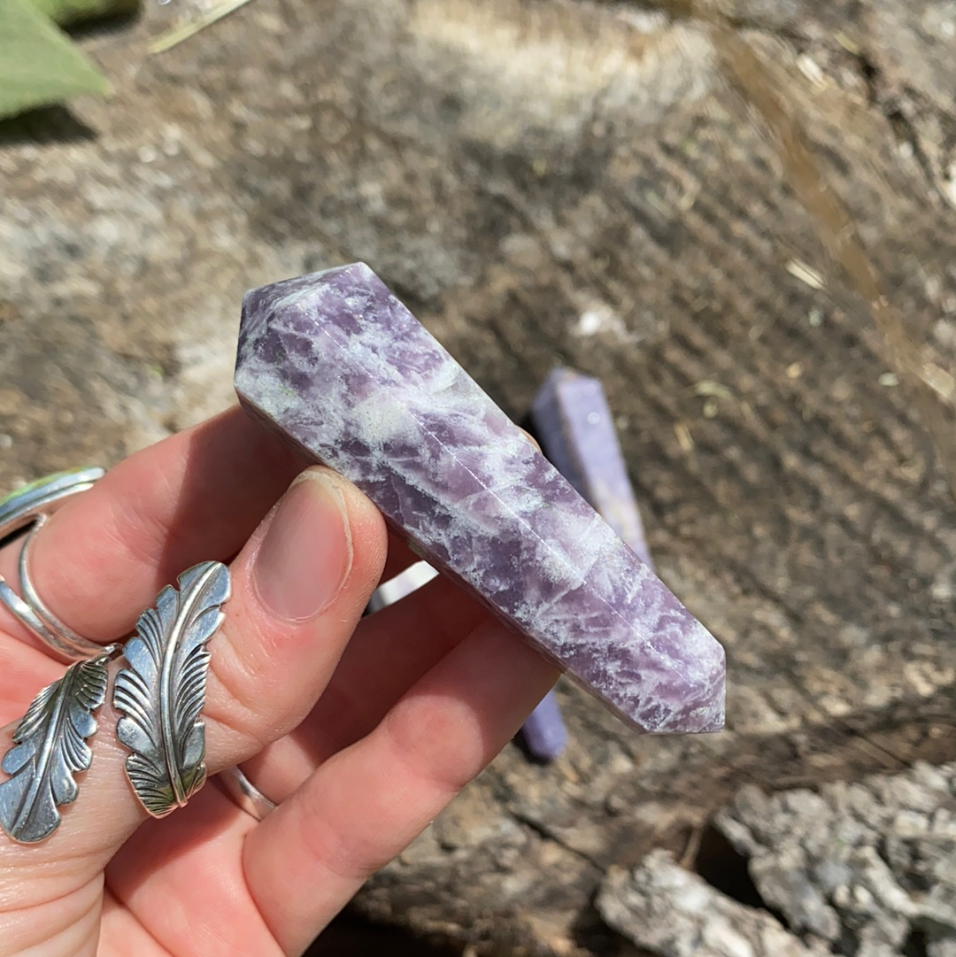 Lepidolite DT Point-DT2-1