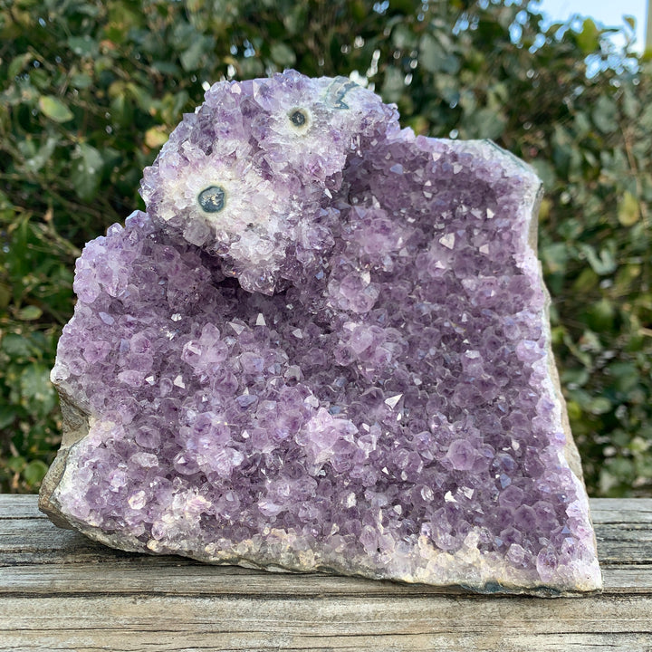 Amethyst Stand Up CCEC1182