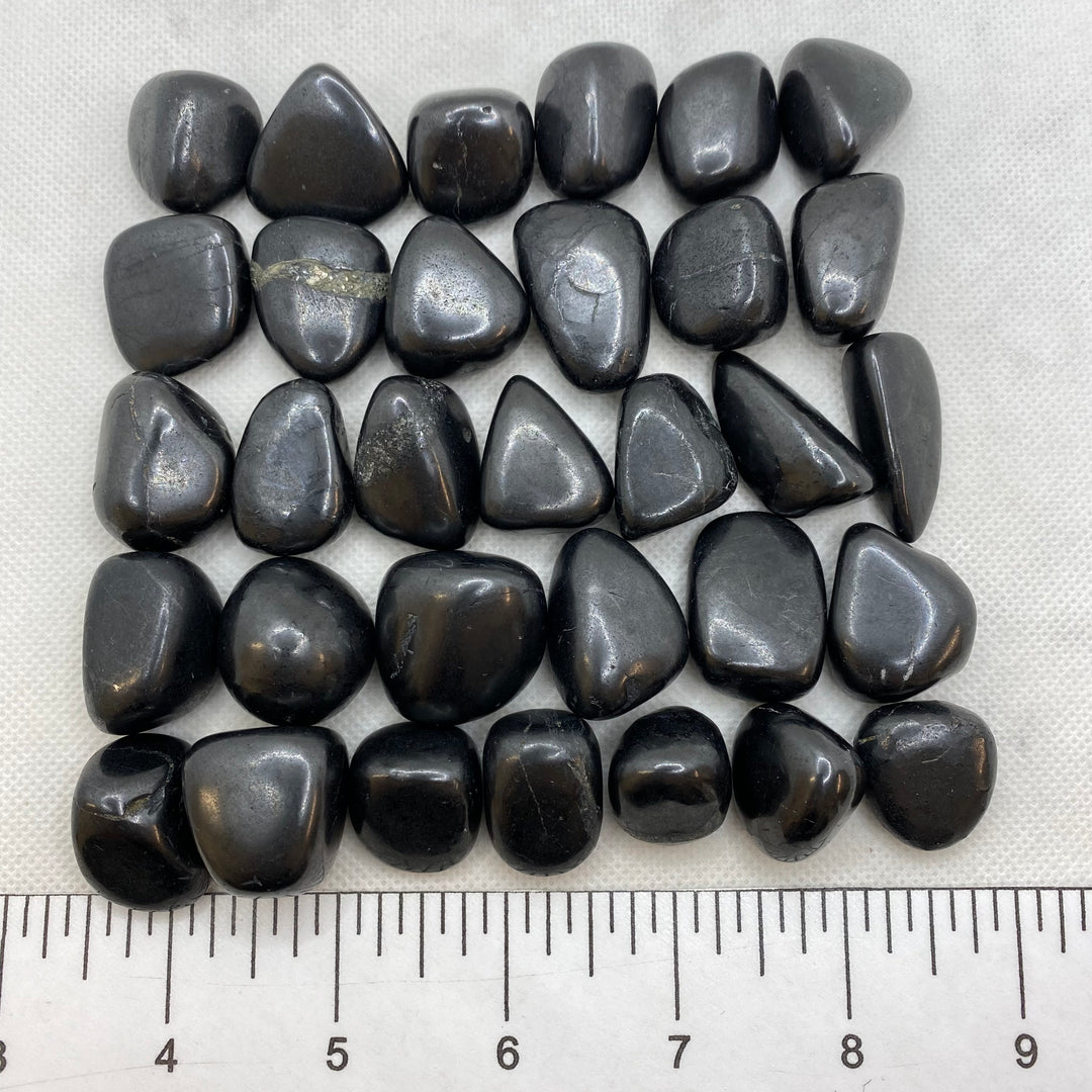 Shungite Polished X208