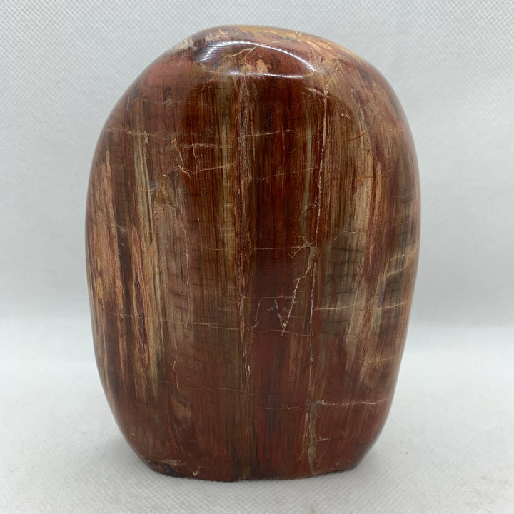 Petrified Wood Polished CCEC752