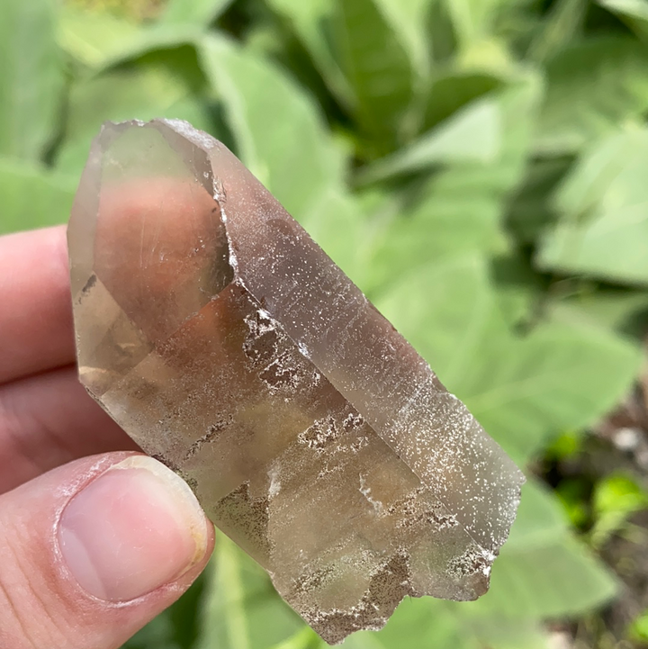 Smoky Quartz Point-PT3-3