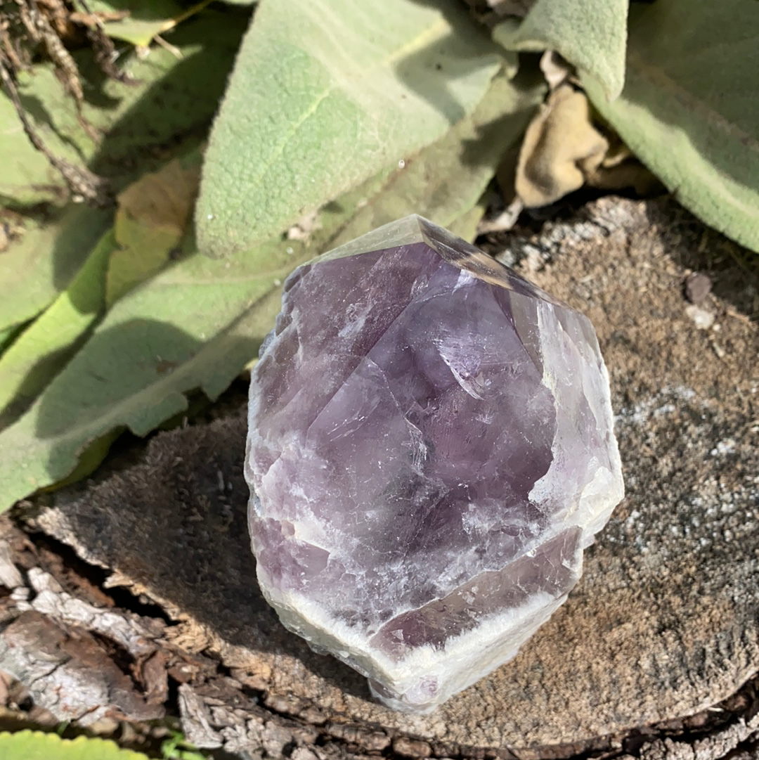 Amethyst Rough Point CCEC1167