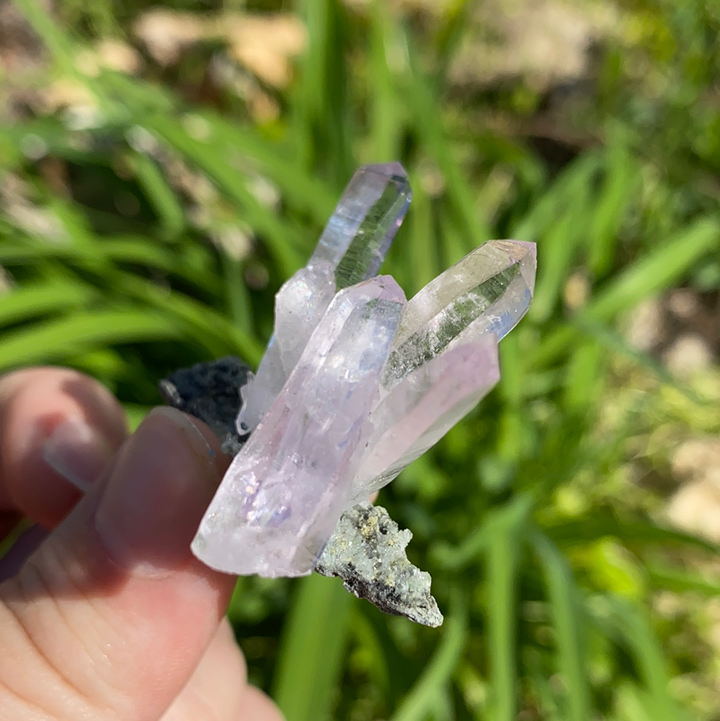 Vera Cruz Amethyst