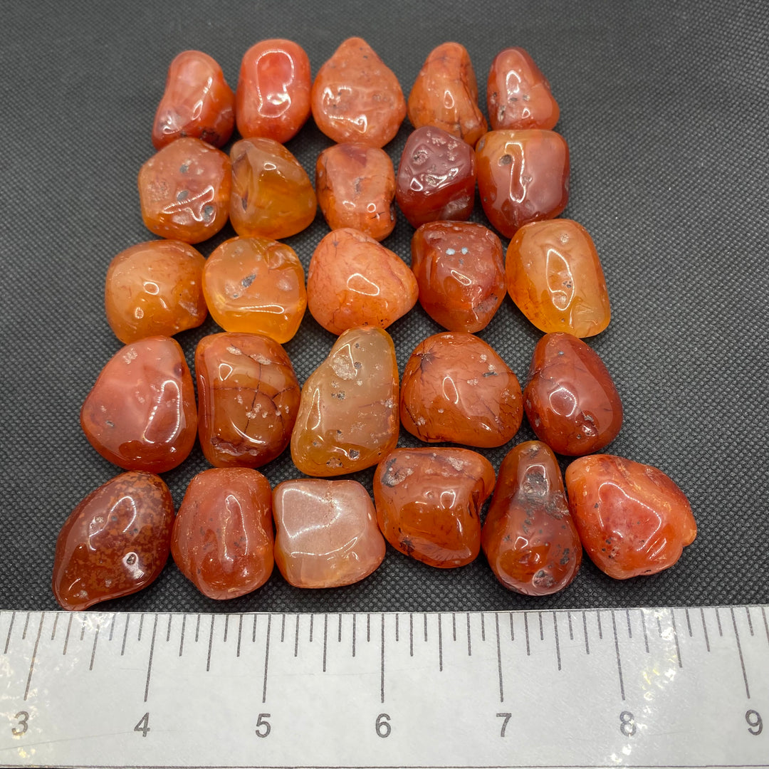 Carnelian Polished C304