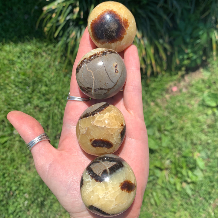 Septarian Dragon Egg Palm Stone PS13-19