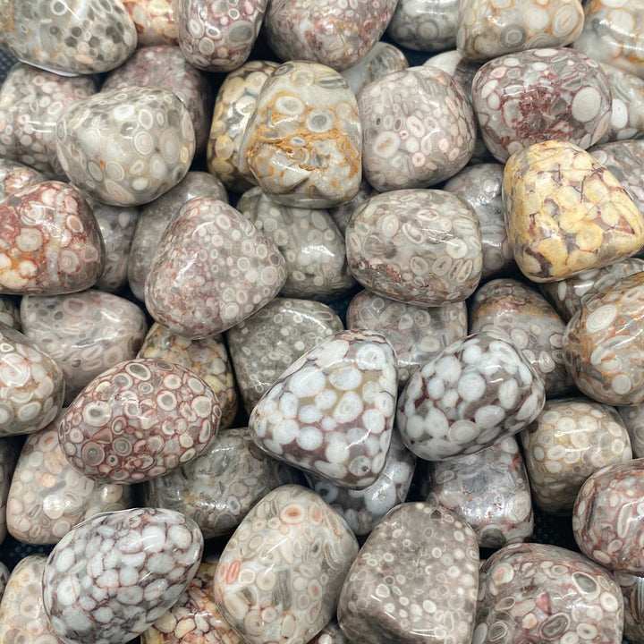 Jasper (White Leopard Skin) Polished  J214