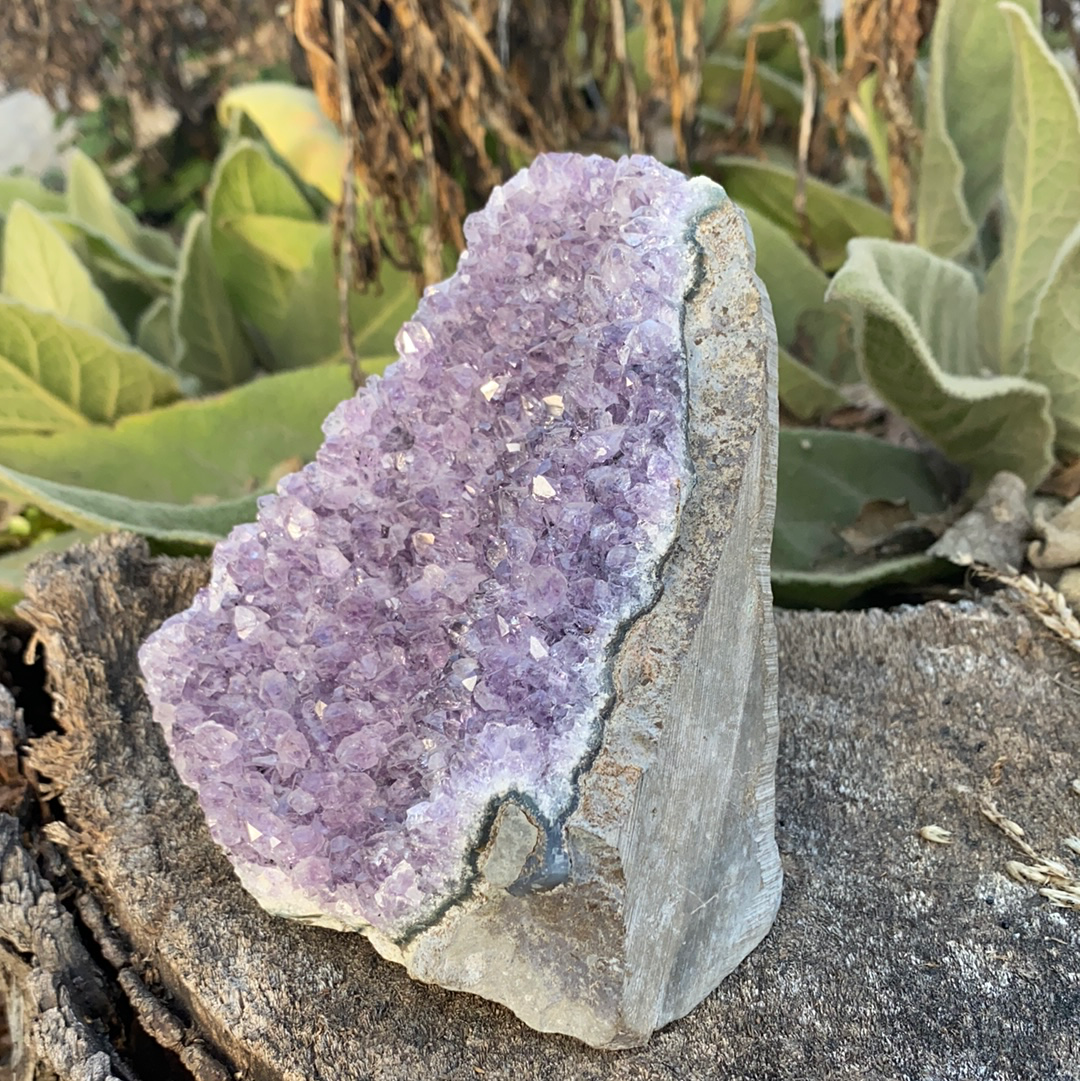 Amethyst Stand Up CR74e