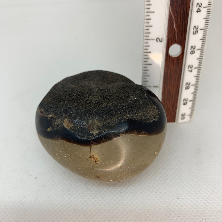 Septarian Dragon Egg Palm Stone PS13-4