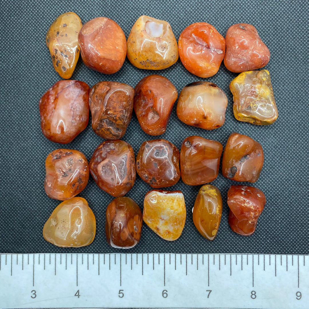 Carnelian Polished C302