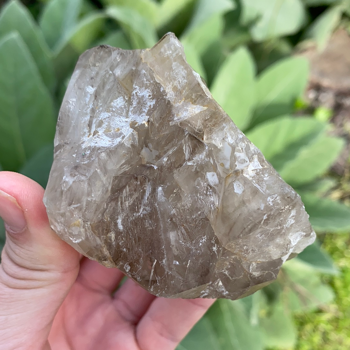 Smoky Elestial Quartz Cluster-ELE2-20