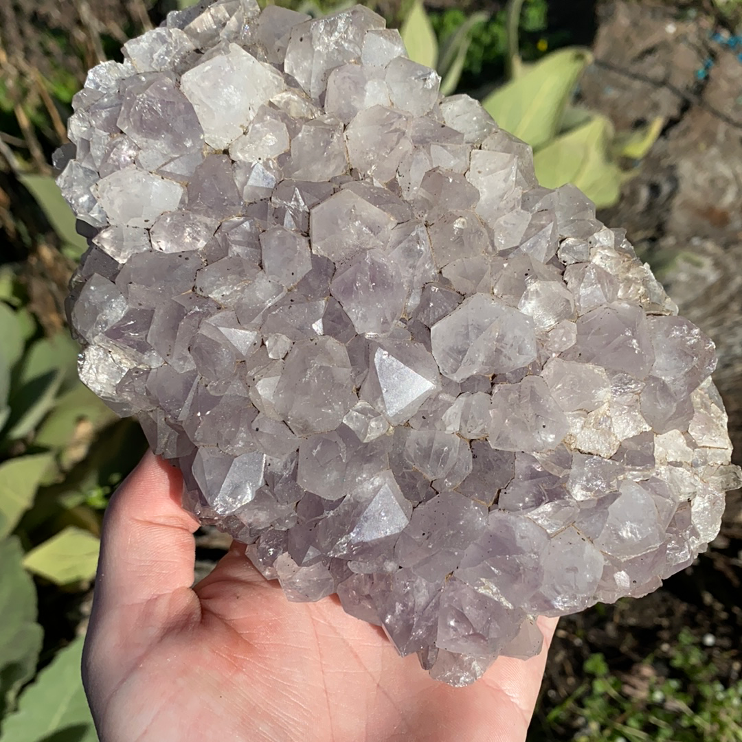 Amethyst Cluster CCC31