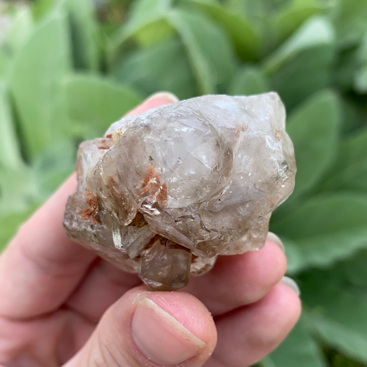 Smoky Elestial Quartz Cluster-ELE2-2