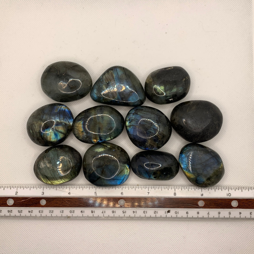 Labradorite Palm Stone PS15-1