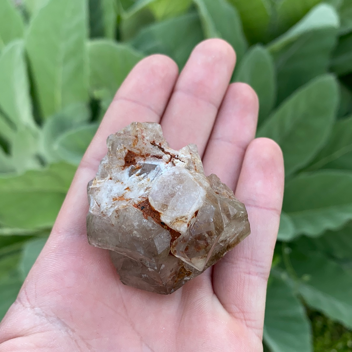 Smoky Elestial Quartz Cluster-ELE2-2