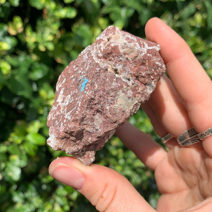 Cavansite on Matrix CAV1-22