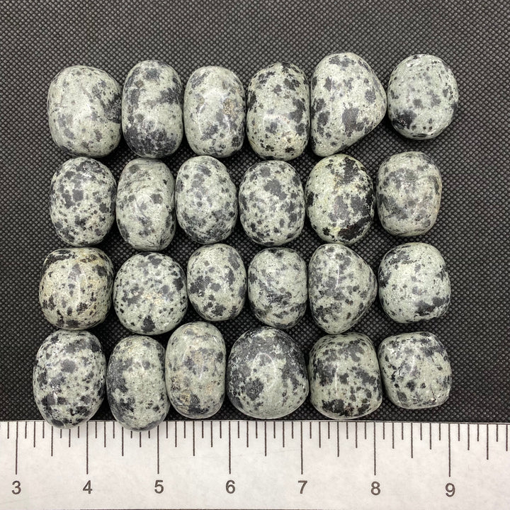 Jasper (Dalmatian) Polished J235