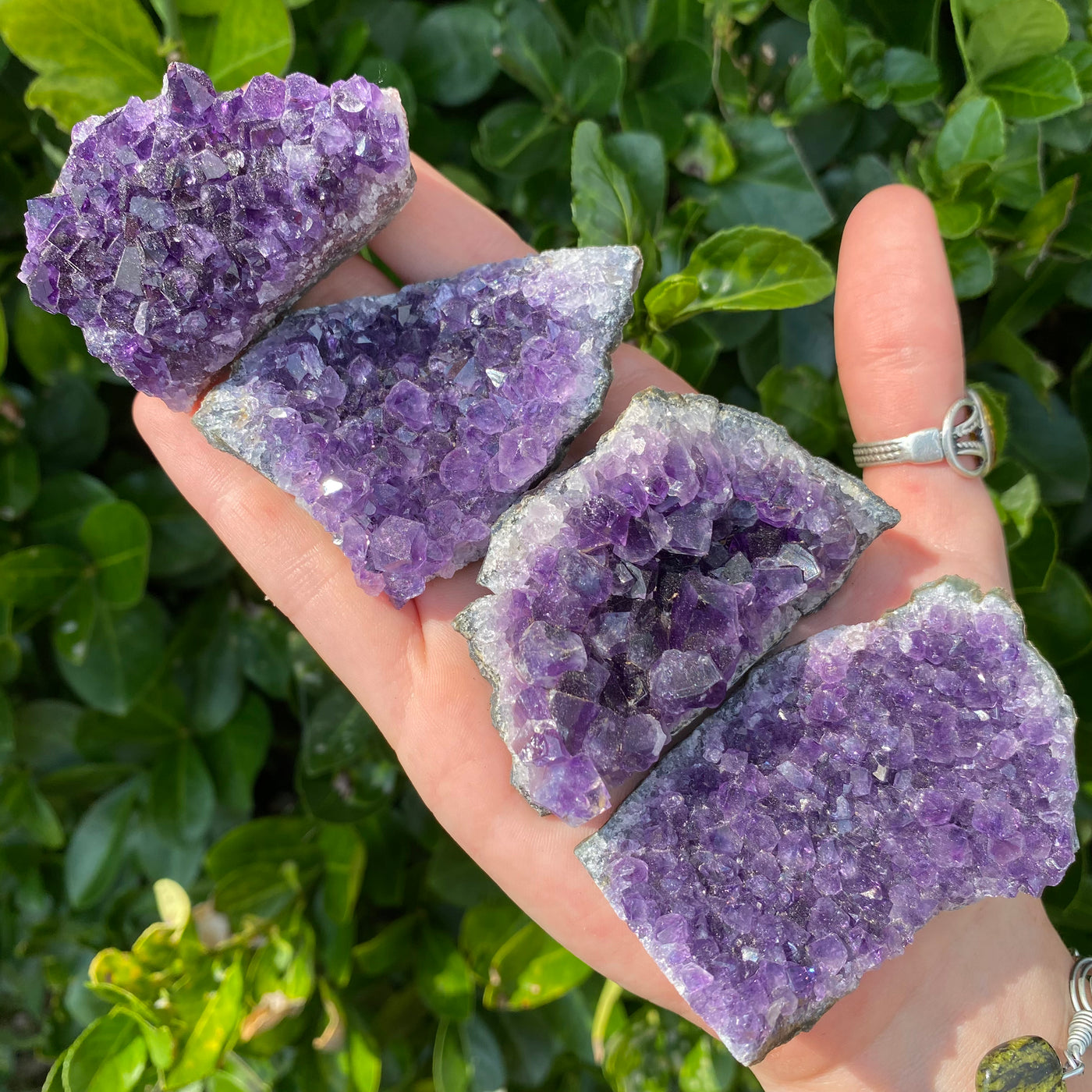 Amethyst Cluster AME11-3