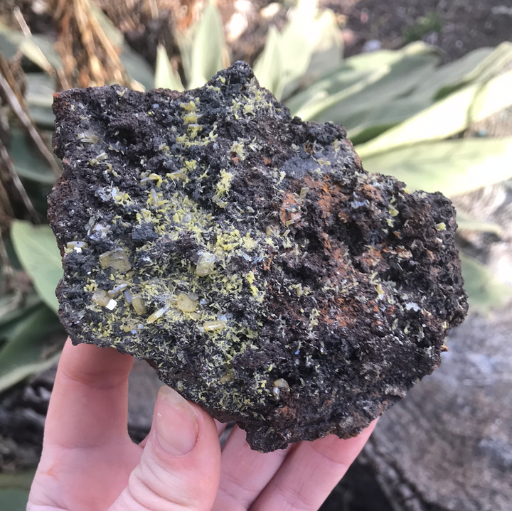 Mimetite Specimen Cluster - Lg WZ845a