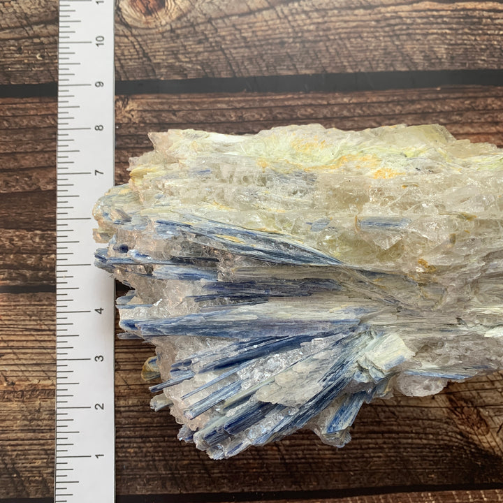 Blue Kyanite Rough Specimen BKY1-2