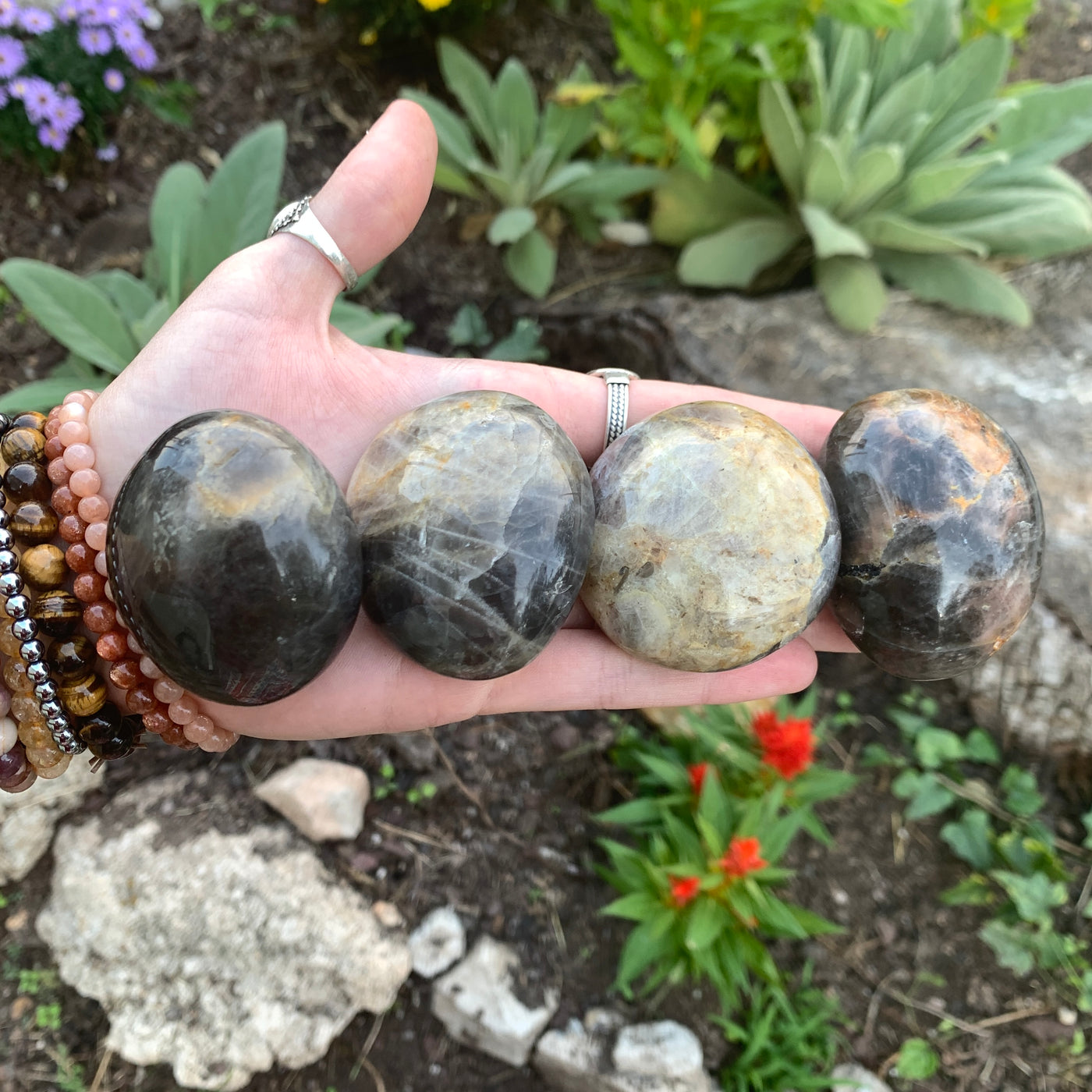 Black Moonstone Palm Stone-PS16-2