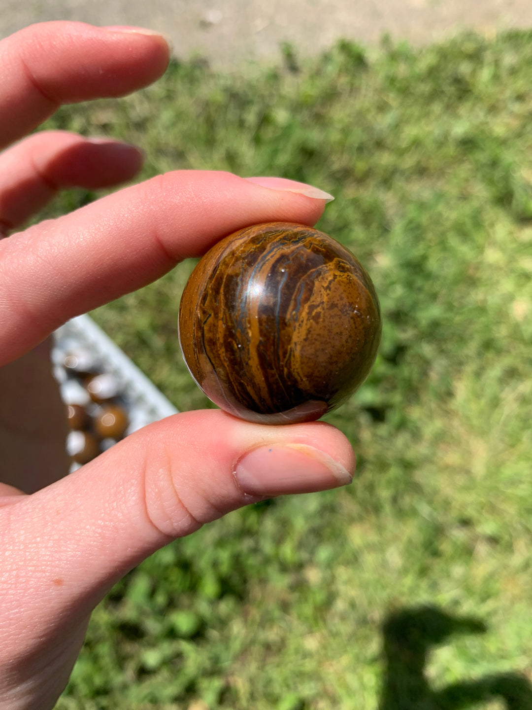 Tiger Eye Sphere SP29-2